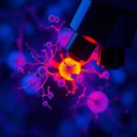 Microscópio laboratorial focado em células do sistema imunitário iluminadas por fluorescência em tons de azul e dourado